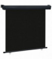 vidaXL Balcony Side Awning 160x250 cm Black
