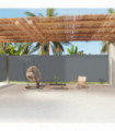 Retractable Side Awning Anthracite 220x1200 cm