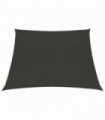 vidaXL Sunshade Sail 160 g/m² Anthracite 3/4x3 m HDPE