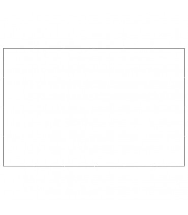 Dog Kennel Silver 24 m² Steel