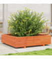 vidaXL Garden Planter Wax Brown 100x100x26.5 cm Solid Wood Pine