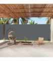 Retractable Side Awning Anthracite 220x1000 cm