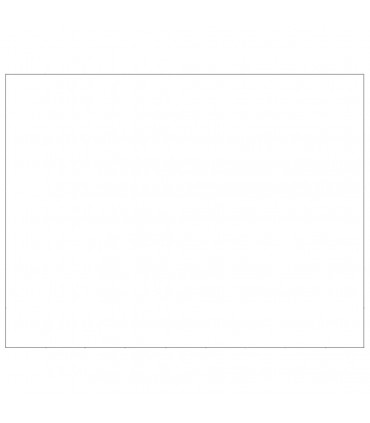 Dog Kennel Silver 63 m² Steel