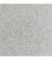 Quartz Silver sw6