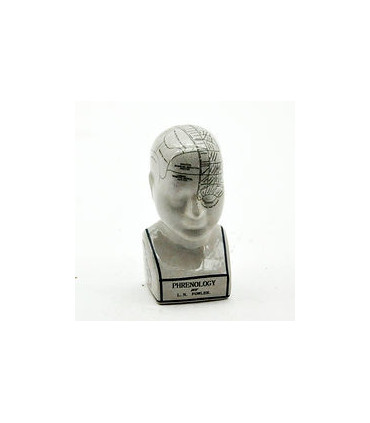 8" PHRENOLOGY HEAD