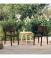 Garden Chairs 2 pcs Mocha Polypropylene