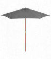 Outdoor Parasol with Wooden Pole 270 cm Anthracite