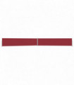 Patio Retractable Side Awning 170x1200 cm Red