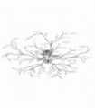 Ceiling Lamp with Acrylic Crystal Leaf Arms for 5 E14 Bulbs White