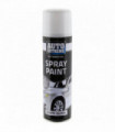 Automotive Spray Paint- GLOSS WHITE AER888