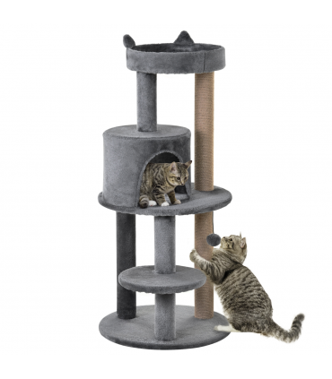 Cat Activity Tree