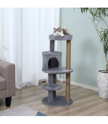 Cat Activity Tree