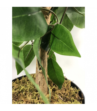 120cm Artificial Ficus Tree and Plant Large Bushy Shape
