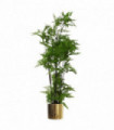 150cm Artificial Natural Extra Large Fern Foliage Plant with Gold Metal Planter
