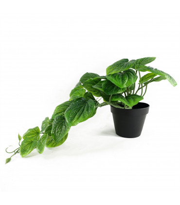 Artificial Trailing Green Potted Pothos Plant Plastic Green 35cm Home Decor