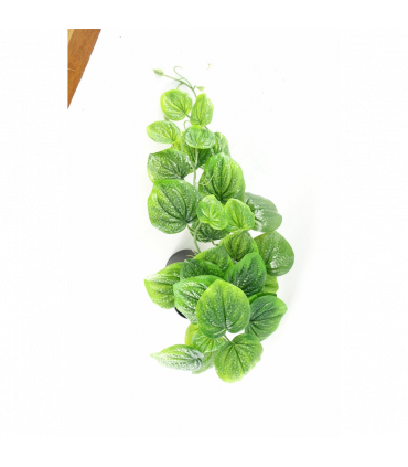 Plastic Green 35cm Artificial Trailing Natural Look Potted Pothos Plant