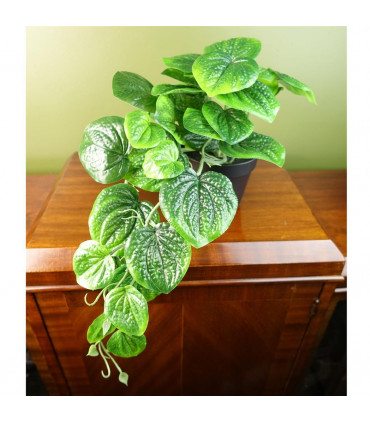 Plastic Green 35cm Artificial Trailing Natural Look Potted Pothos Plant