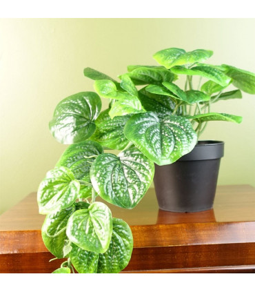 35cm Artificial Trailing Natural Look Potted Pothos Plant Realistic