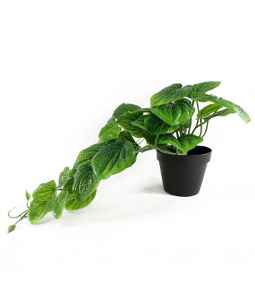 35cm Artificial Trailing Natural Look Potted Pothos Plant Realistic