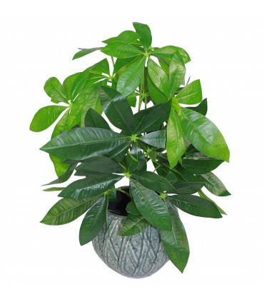 50cm Artificial Money Tree Plant