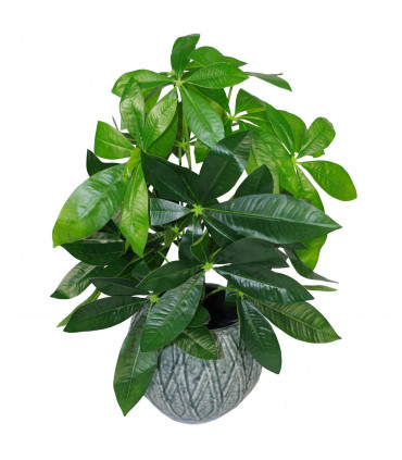 50cm Artificial Money Tree Plant