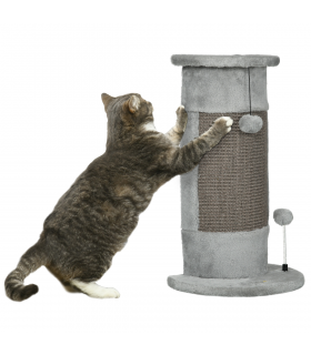 Cat Scratching Post