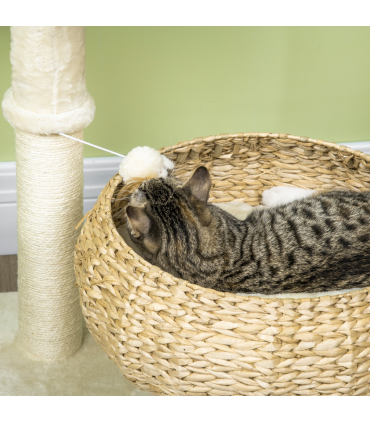 Cat Tree Kitty Activity Centre