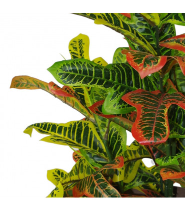 90cm Artificial Codiaeum Multicoloured House Plant - Large