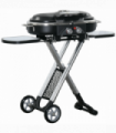 Foldable 2 Burner Gas BBQ Grill Trolley w/ Side Shelves Storage Pocket