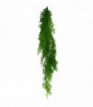 100cm Hanging String of Pearls Fern Plant Light Green