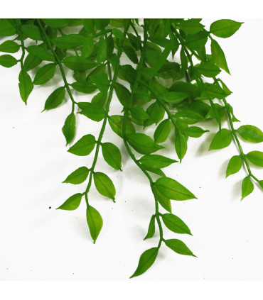 100cm Hanging String of Pearls Fern Plant Light Green