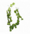 180cm Artificial Trailing Hanging Devil's Ivy Plant Realistic