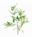 85cm Artificial Green Foliage Spray