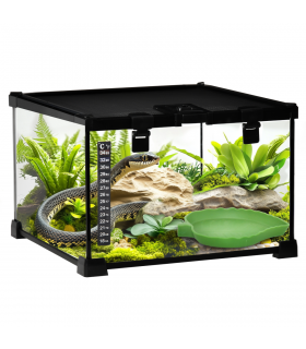 Glass Reptile Terrarium