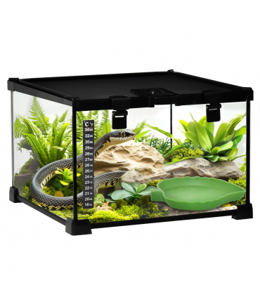 Glass Reptile Terrarium