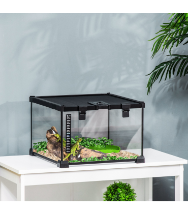 Glass Reptile Terrarium