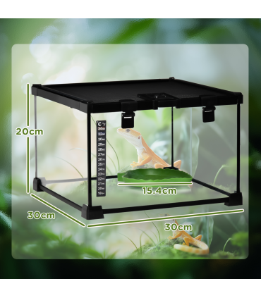 Glass Reptile Terrarium