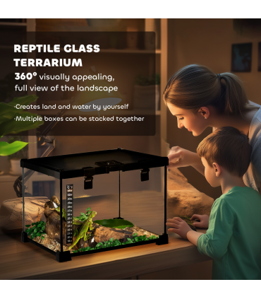 Glass Reptile Terrarium