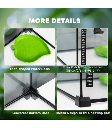 Glass Reptile Terrarium
