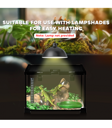 Glass Reptile Terrarium