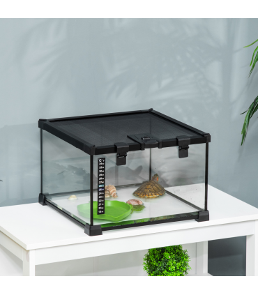 Glass Reptile Terrarium