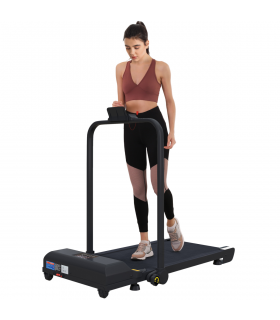 HOMCOM 2.5HP Folding Treadmill Walking Pad with Remote Control, 1-10KM/H