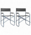 vidaXL Director's Chairs 2 pcs Steel Grey