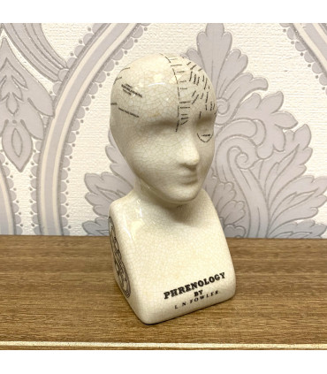 6" PHRENOLOGY HEAD CERAMIC
