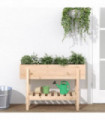 vidaXL Garden Raised Bed 101x30x69 cm Solid Wood Pine