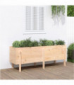 vidaXL Garden Raised Bed 160x50x57 cm Solid Wood Pine