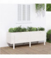 vidaXL Garden Raised Bed White 160x50x57 cm Solid Wood Pine