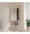 vidaXL Corner Bathroom Mirror Cabinet White 30x24x60 cm