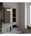vidaXL Bathroom Mirror Cabinet with LED Light Oak 45x13x52 cm