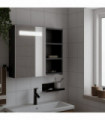 vidaXL Bathroom Mirror Cabinet with LED Light Black 60x13x52 cm